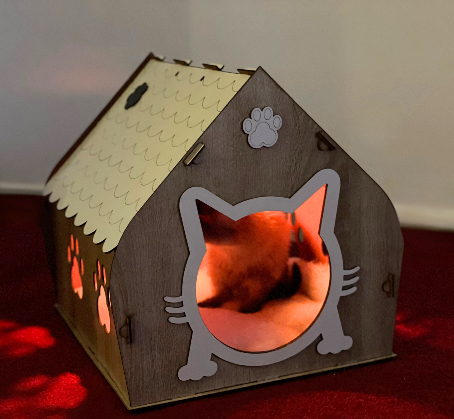 CAT HOUSE
